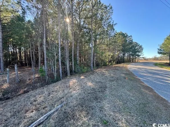 TBD Lot 3 Night Owl Ln., Conway, SC 29527