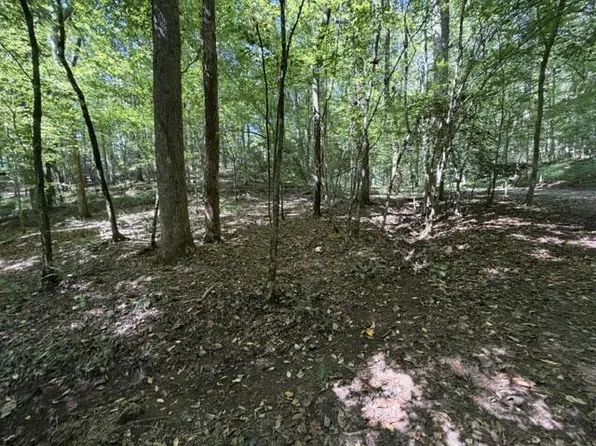 Town Road B&c Bear Hollow Way, Cherry Log, GA 30522
