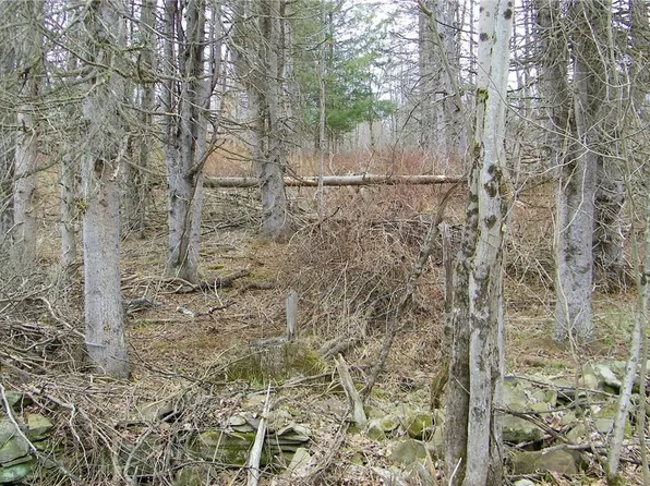 LOT 4 Salisbury Rd Lot 4, Westdale, NY 13483