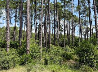 3471 Firefly Cir, Sopchoppy, FL 32358
