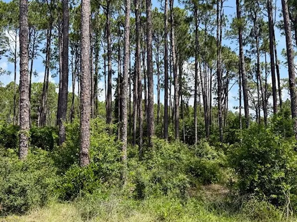 3471 Firefly Cir, Sopchoppy, FL 32358