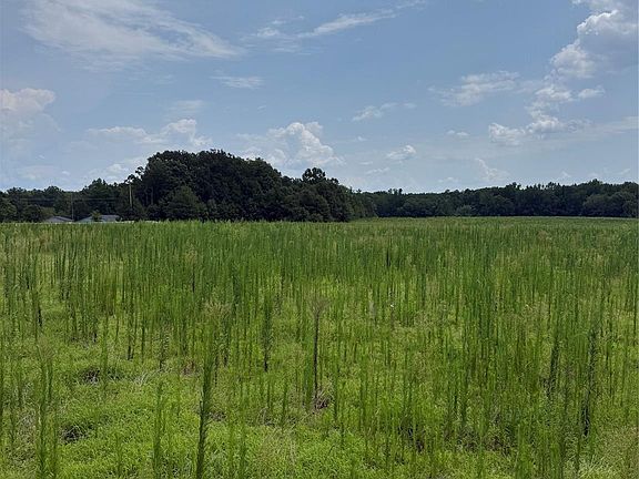 2nd image of 295/AC Neal Rd Lot 13