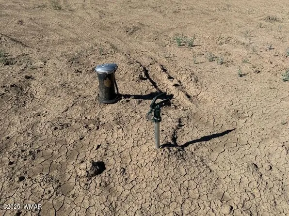 54 County Road 8001, Concho, AZ 85924