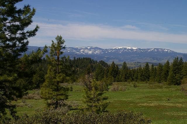 2nd image of 95 Tbd Hwy