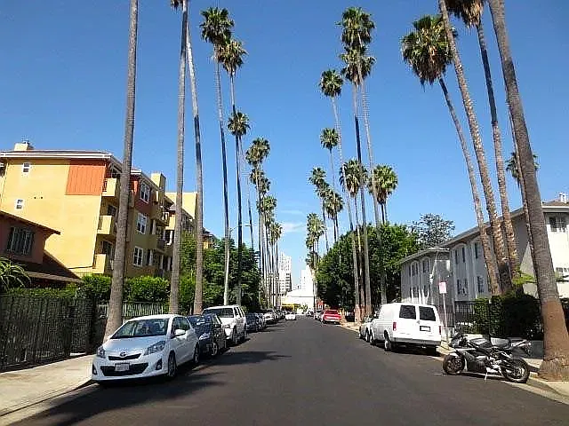 2 bed, 820 sqft, $2,266 — Photo 4