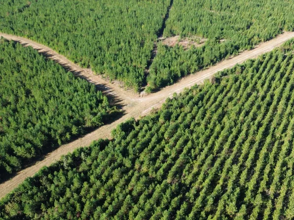 24 State Hwy #311, Cross, SC 29436