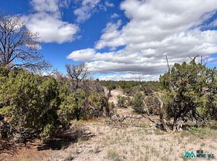 LOT 43 Abbe Spgs #43, Magdalena, NM 87825