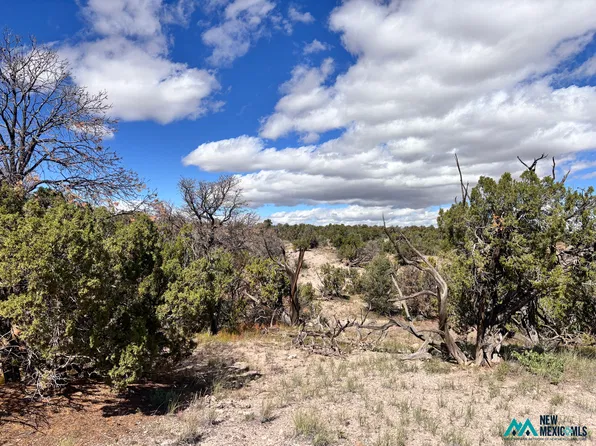LOT 43 Abbe Spgs #43, Magdalena, NM 87825