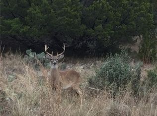 2300 Grant Ln, Leander, TX 78645