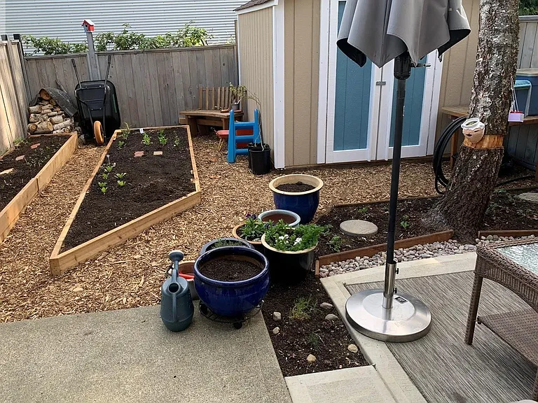 Backyard - all items will be removed, except shed. Tree and large garden bed has also been removed since this photo was taken.