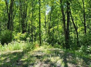 Bluff Dr, Pittsville, WI 54466