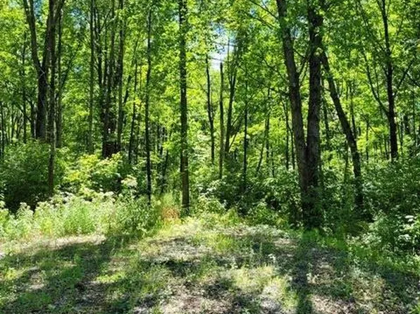 BLUFF DRIVE, Pittsville, WI 54466