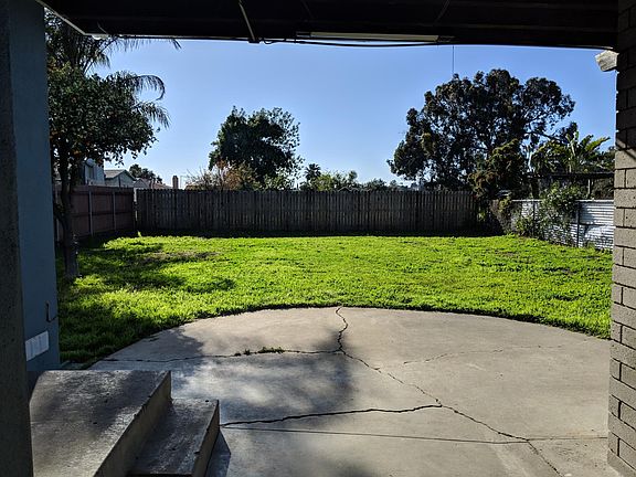 Back yard