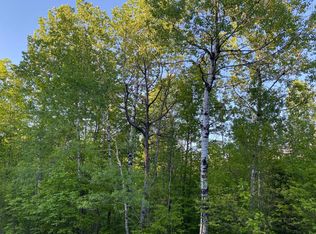 W10667 Pine Tree Ln, Tripoli, WI 54564