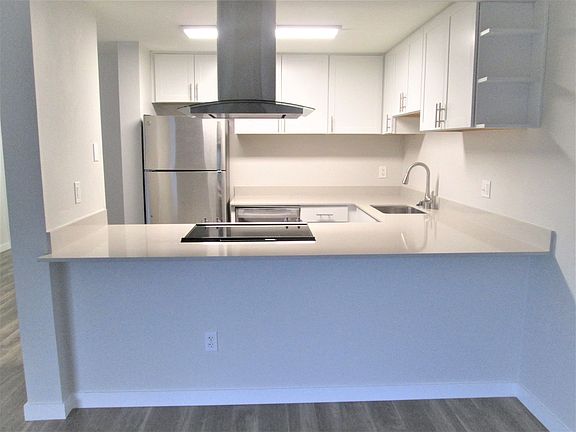 Modern Stainless Range Hood