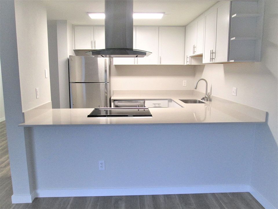 Modern Stainless Range Hood