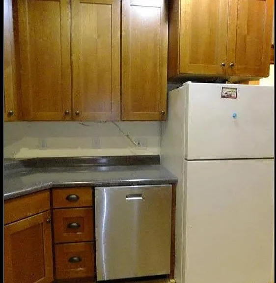 Kitchen Frig & Dishwasher