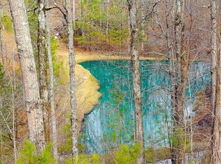 2043 Narroway Church Cir, Dallas, GA 30132