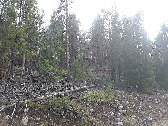 5th image of 872 Juniper Dr