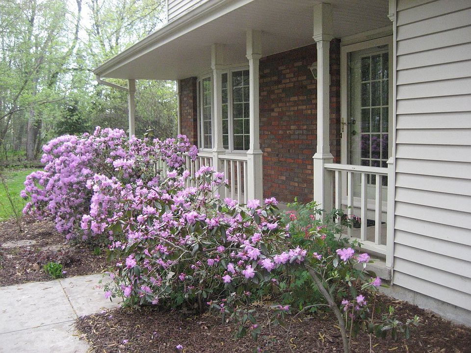 Front of house