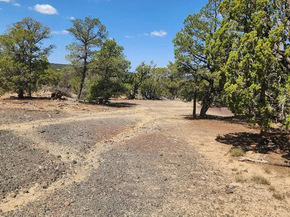 15 County Road 3041 #2, Concho, AZ 85924