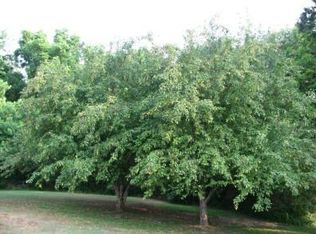 319 Old Shiloh Rd, Adamsville, TN 38310