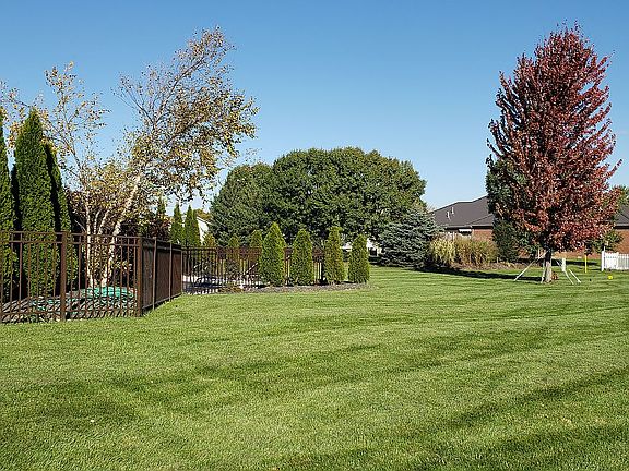 Large back yard