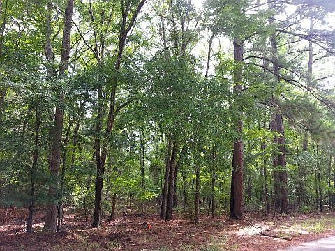 2nd image of 2289 An County Road 359