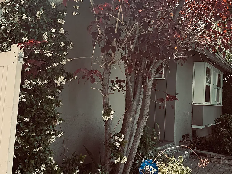 2820 N Buena Vista St — Photo 37