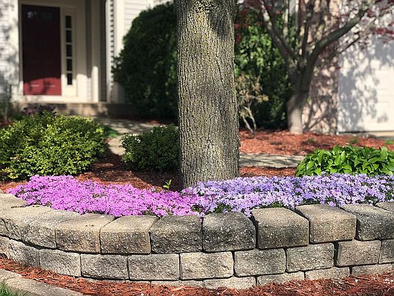 Annual Spring Explosion