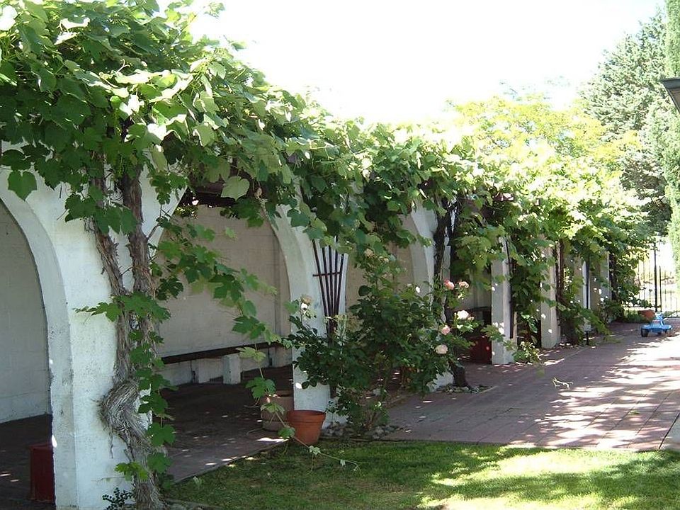 Grape Arbor