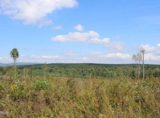 Shut In Gap Rd, Spring City, TN 37381