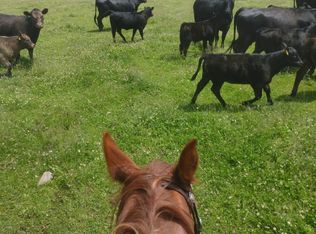 Nhn Farm View Ln, Florence, MT 59833