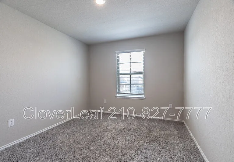 255 Kinsley Way — Photo 27