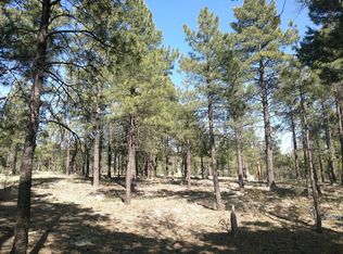 4466 Moonlight Dr, Happy Jack, AZ 86024