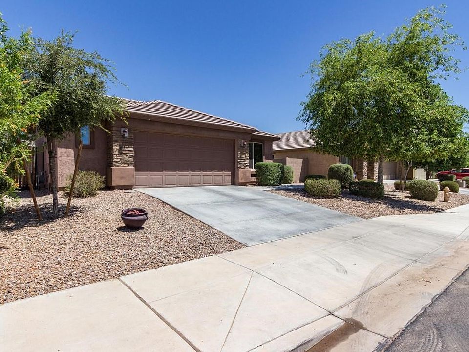 Morning Glory - 19670 (1)