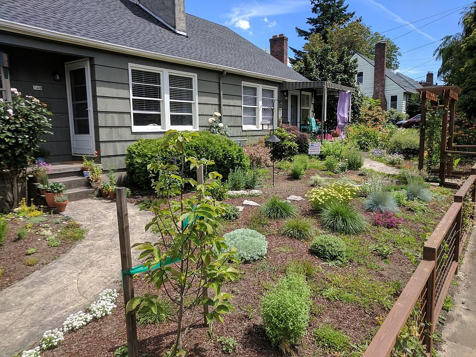 Bird lovers' paradise garden