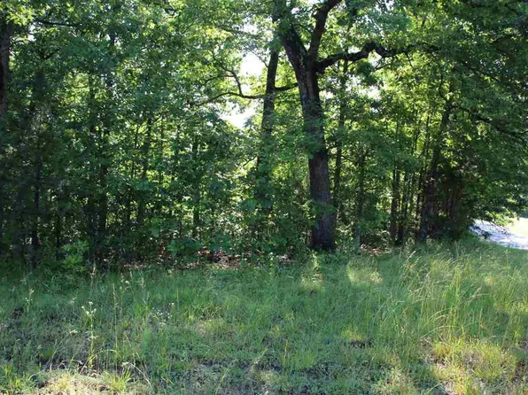 001-07824-000 State Highway 14 N, Yellville, AR 72687