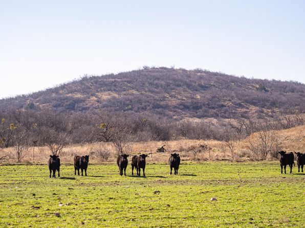 Bowen Rd, Baird, TX 79504