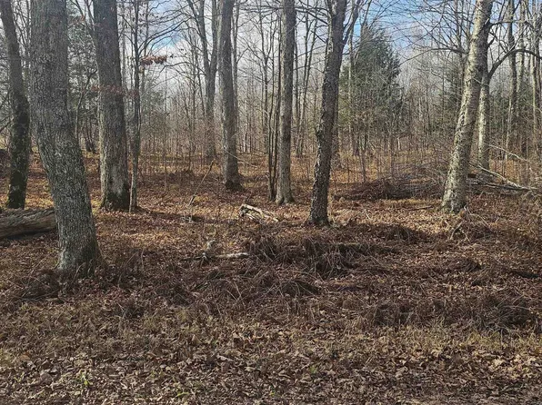 Chip N Dale Dr #64, Pickerel, WI 54465