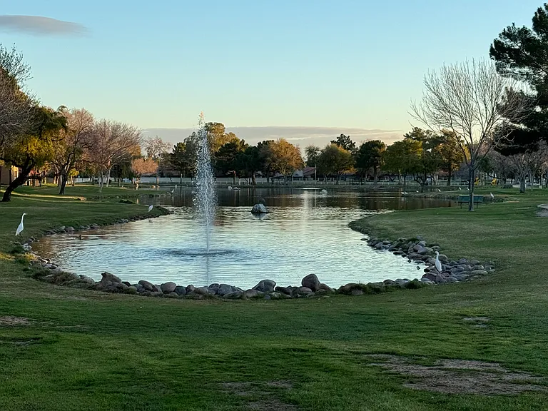 Nearby Gila Springs Park and Pond