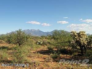 677 Canyon Rock 100_5213 A Pri