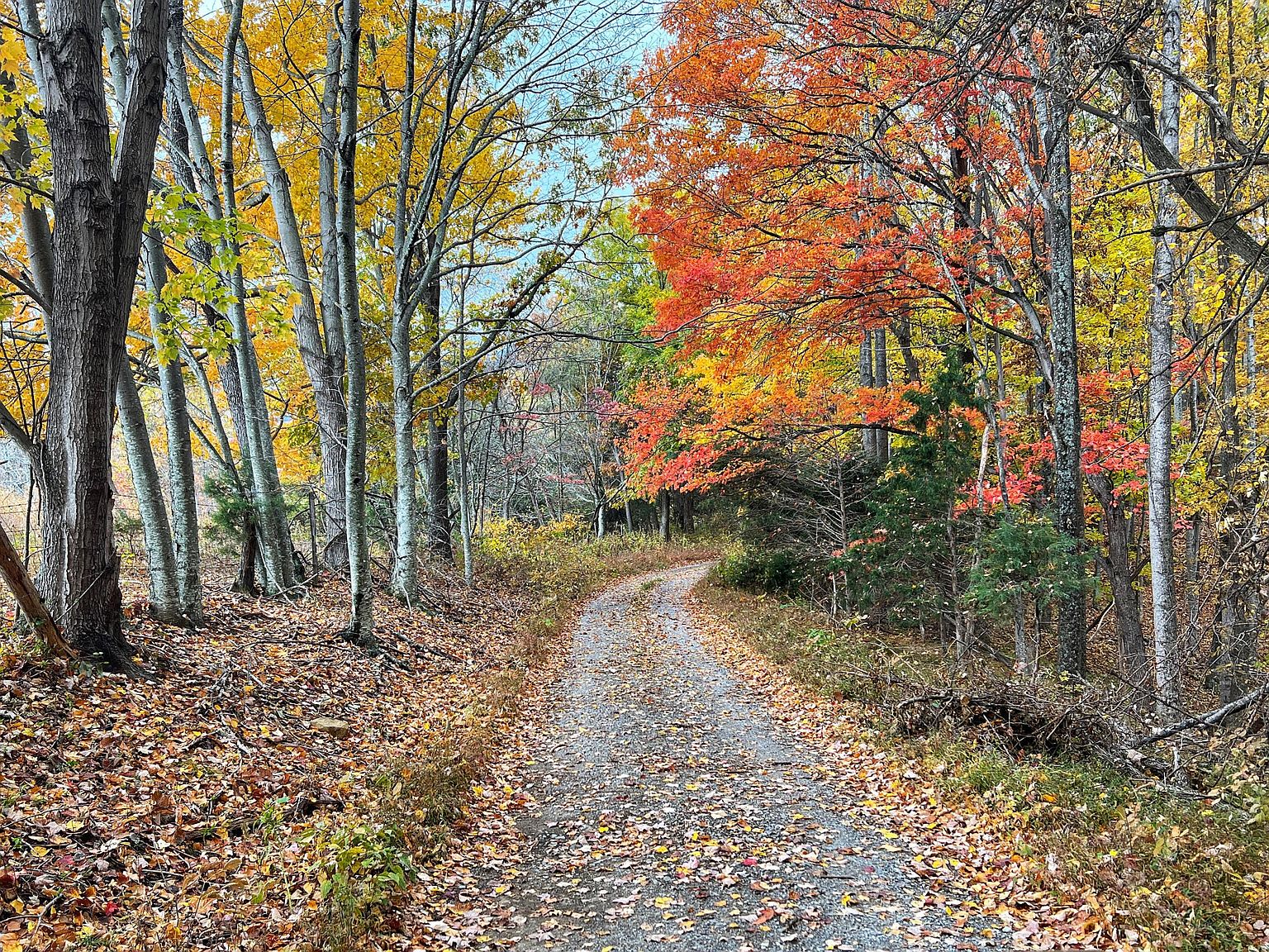 305 County Line Rd NA, Natural Bridge, VA 24578 MLS 894342 Zillow