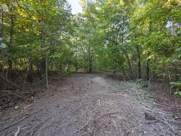 000 State Hwy C #Tract 3, Purdy, MO 65734