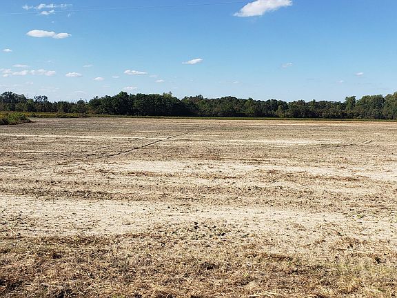 4th image of 510 Mitchell Loop Road