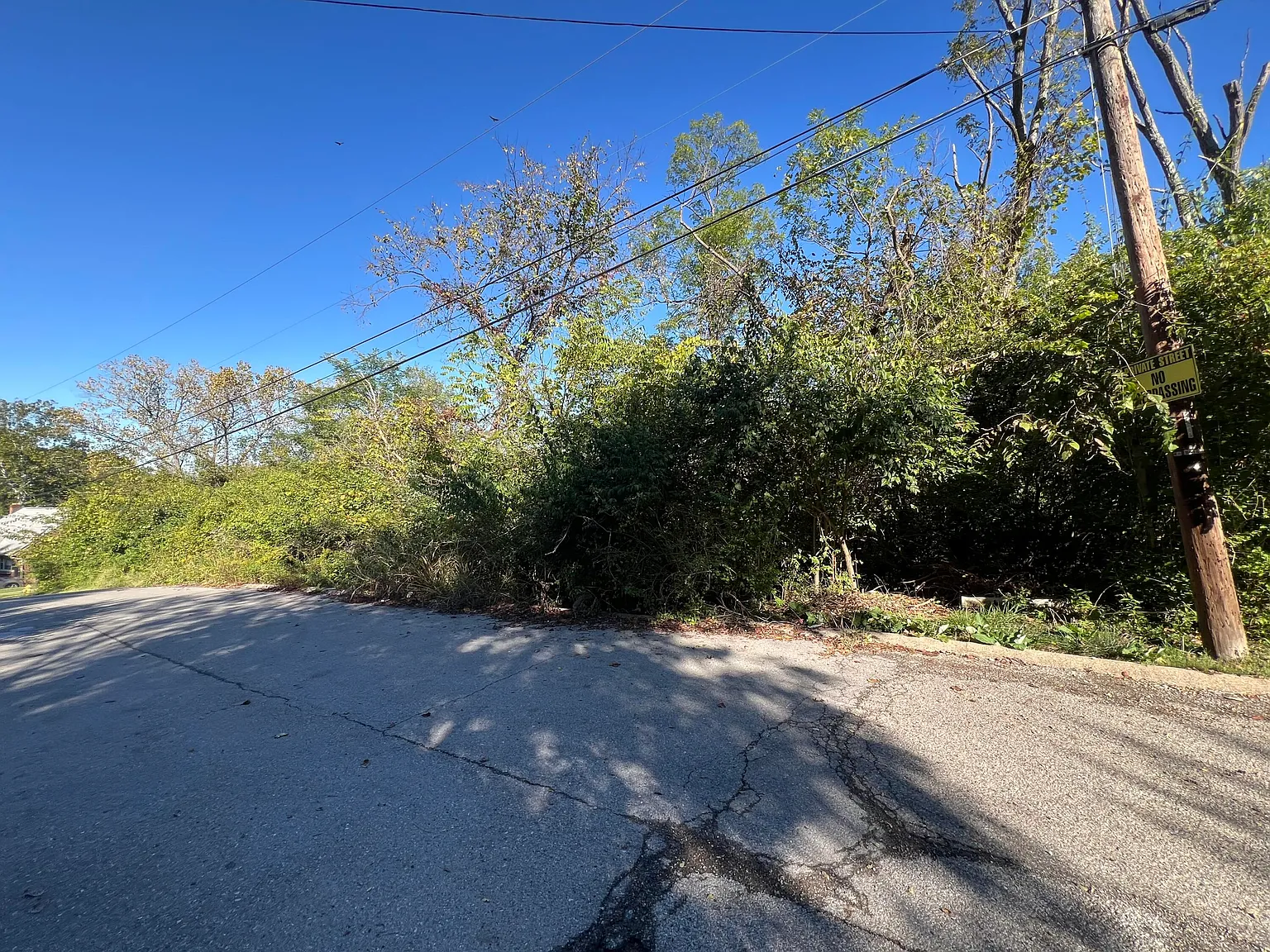 219 Cleveland Ave photo 1