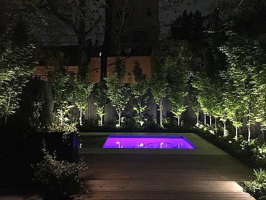 Sold by Nest Seekers International | media 4