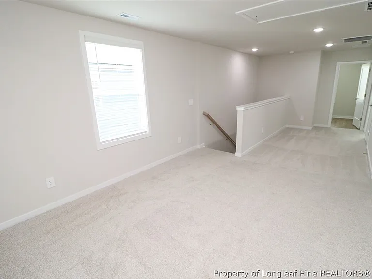 4129 Hazel Branch Way — Photo 21