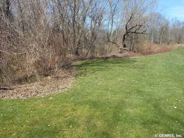 59 Cardogan Sq #527, Rochester, NY 14625