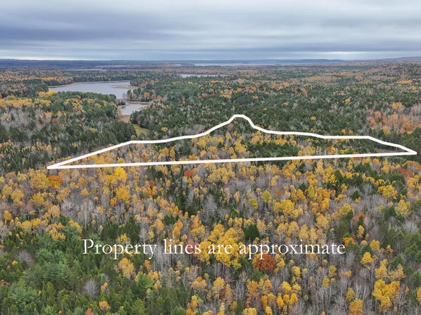 Lot 3-B West Branch Road, Mariaville, ME 04605